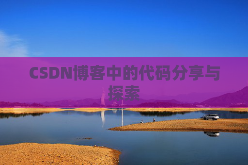 CSDN博客中的代码分享与探索